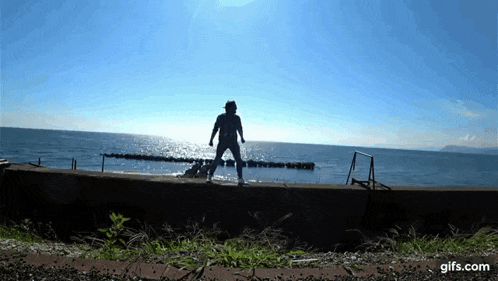 a gif of a person standing on a ledge overlooking the ocean