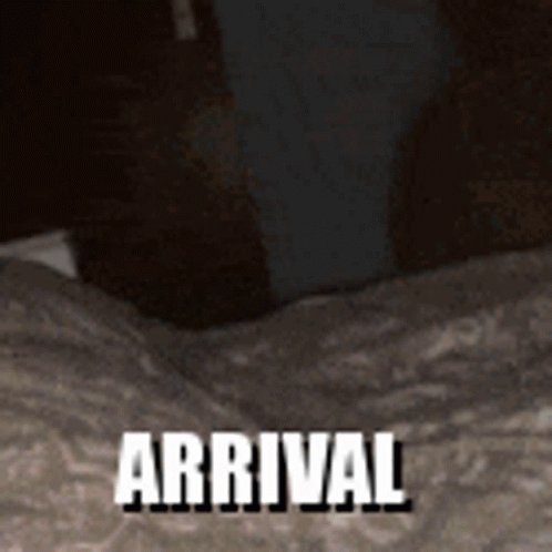 Arrival Cat GIF - Arrival Cat Kitty GIFs