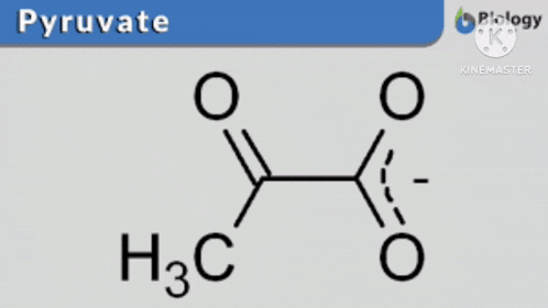 the word glycolysis is on a black and white background