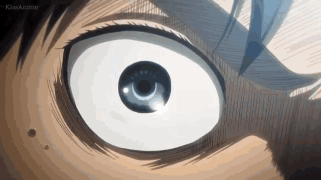 a close up of a person 's eye with a huge white pupil .