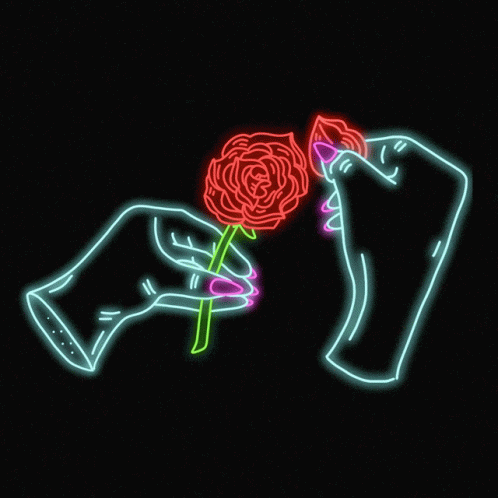 Roses Down GIF - Roses Down Petals GIFs