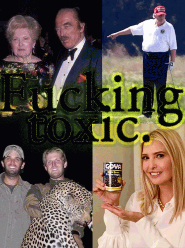 Toxic Trump Toxic Trumps GIF - Toxic Trump Toxic Trumps Trump GIFs