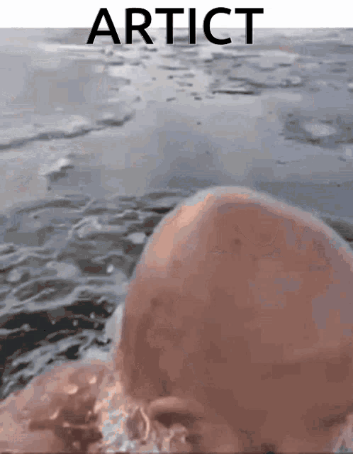 a bald man is swimming in a body of water with the words artict above him