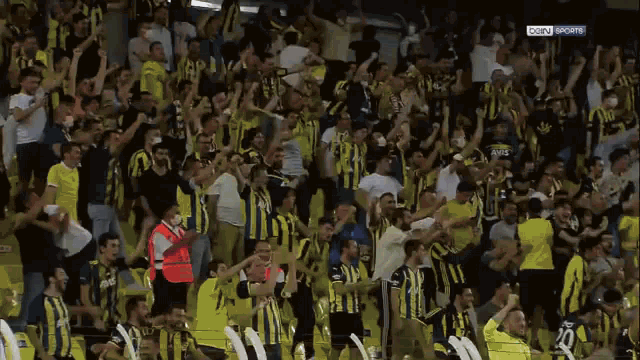 Vitor Pereira Fenerbahçe GIF - Vitor Pereira Fenerbahçe GIFs