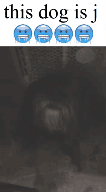 a picture of a dog with the words this dog is j
