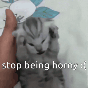 Kitty Horny GIF - Kitty Horny GIFs