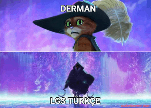 a picture of a cat and a picture of a person with the words derman lgs turkce