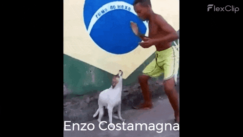 a boy is playing with a dog in front of a flag .