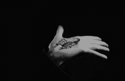 a person 's hand with a scorpion tattoo on it