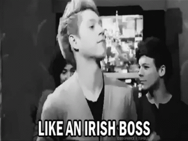 Haha Cute GIF - One Direction Niall Horan Like An Irish Boss GIFs