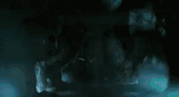 a couple of ghosts are standing next to each other in a dark forest .