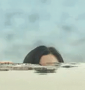 暗中观察 GIF - Peep Watching You Swim GIFs