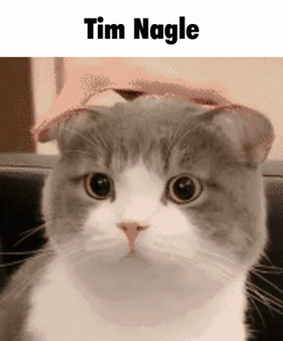 Tim Nagle Cat GIF - Tim Nagle Cat Mr Potato GIFs