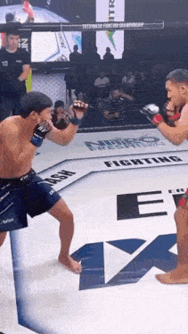 two men are fighting in a boxing ring with the word fighting on the floor
