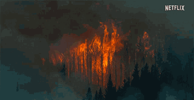 a netflix ad shows a fire burning through the trees