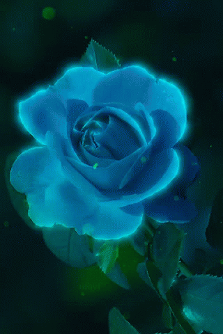 Rose Blue GIF - Rose Blue GIFs