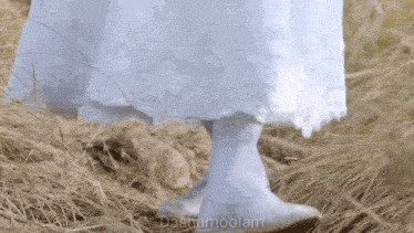 a woman in a white dress is walking through a field with the words dashamoolam visible