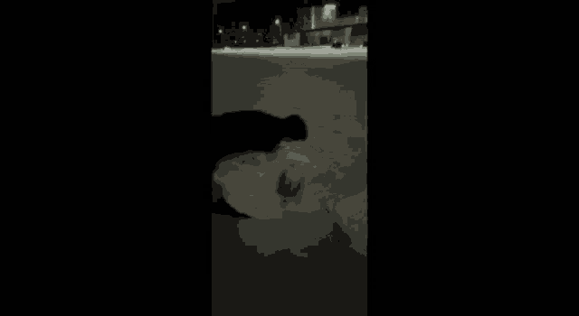a dog is playing with a snowball on the sidewalk at night