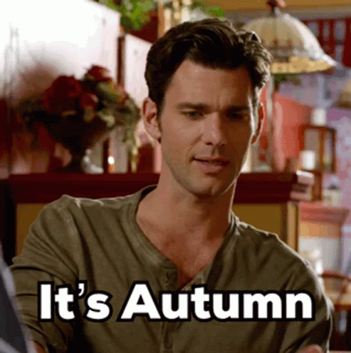 Kevinmcgarry Autumnstables GIF - Kevinmcgarry Autumnstables Autumn GIFs
