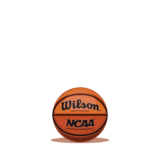 a wilson ncaa evo nxt game ball is shown