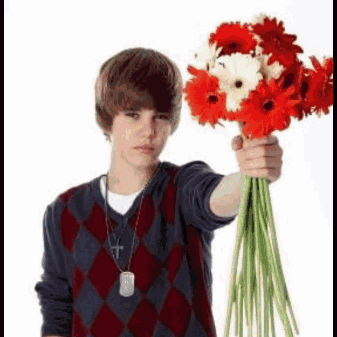 Justin Bieber Club Penguin GIF - Justin Bieber Club Penguin Justinpenguin GIFs