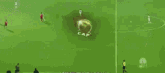 a green background with a yellow circle and the word caf on it