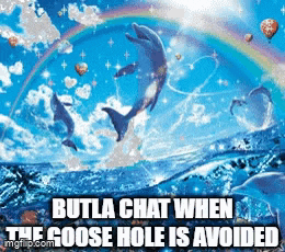 a picture of dolphins in the ocean with a rainbow and the caption butla chat when the goose hole is avoided