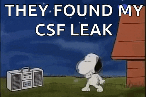 a cartoon of snoopy dancing in front of a boombox that says they found my csp leak