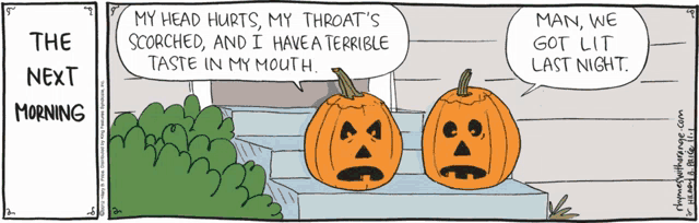 a cartoon shows two pumpkins talking to each other and says the next morning