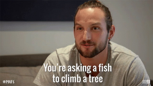 Youre Asking A Fish To Climb A Tree Its Not Possible GIF - Youre Asking A Fish To Climb A Tree Its Not Possible Impossible GIFs