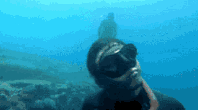 Freediver Black Out Seac GIF - Freediver Black Out Dive Seac GIFs