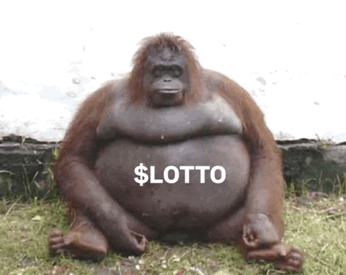 a fat orangutan is sitting in the grass with the words $ lotto written on it