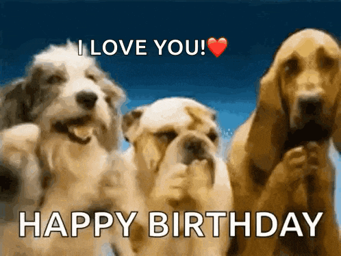 three dogs are standing next to each other with the words i love you happy birthday written on the bottom