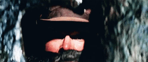 Harrison Ford We Are Going To Die GIF - Harrison Ford We Are Going To Die Shout GIFs