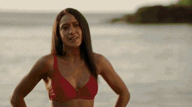 Death In Paradise Caribbean GIF - Death In Paradise Caribbean Florence Cassell GIFs