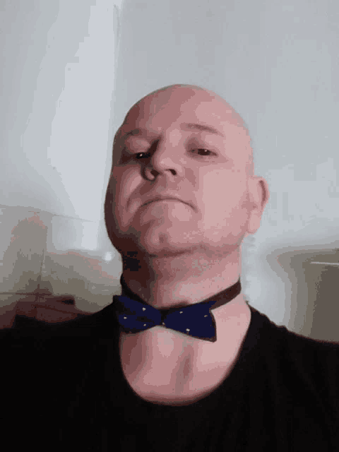 a man wearing a blue bow tie looks at the camera