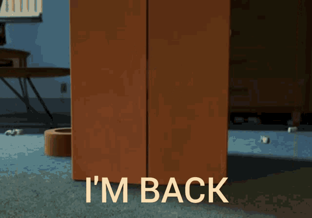 I Am Back Estoy De Vuelta GIF - I Am Back Estoy De Vuelta Toy Story2 GIFs