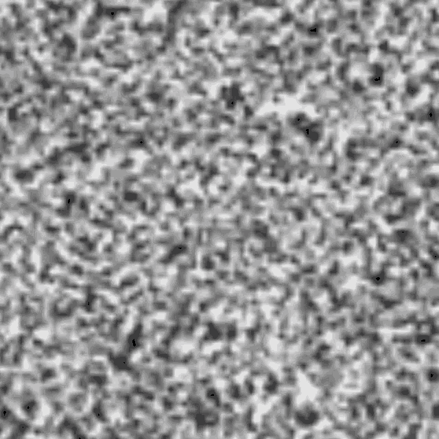 a black and white photo of a carpet with a grainy texture .