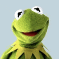 kermit the frog is smiling and looking at the camera .