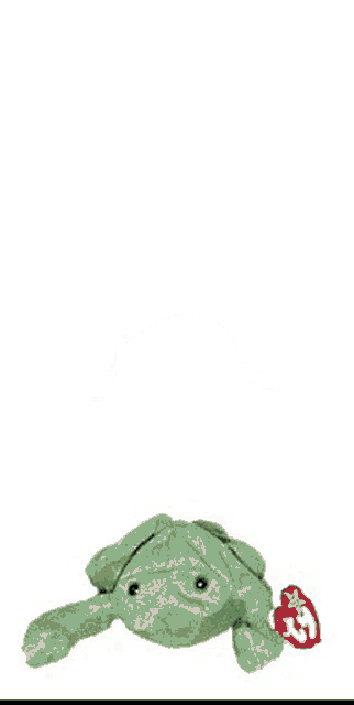 a green stuffed frog with a tag that says ' ty ' on it