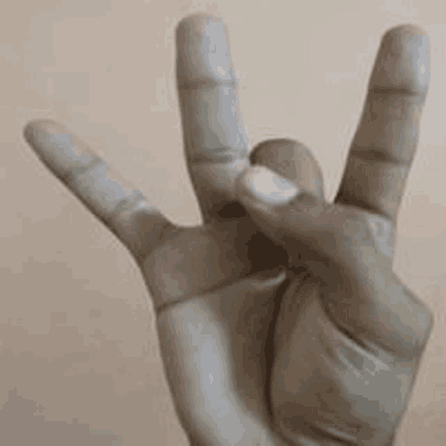 a close up of a person 's hand making a rock sign .
