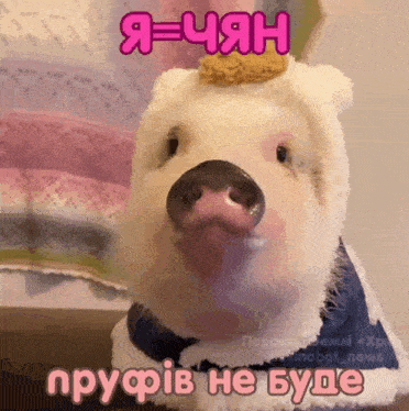 a pig with a crown on its head is wearing a sweater
