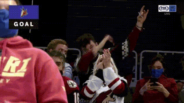 a group of people are sitting in a stadium watching a hockey game and the word goal is on the screen .