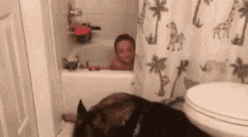 a cat is looking at a baby in a bathtub .