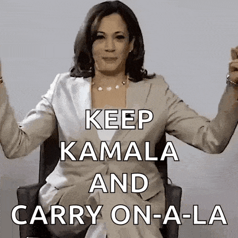 Kamala Harris Vice President GIF