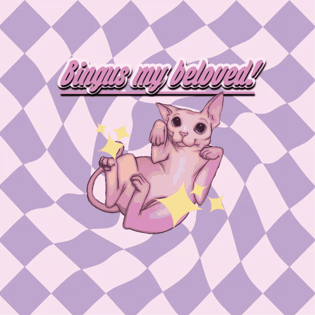 a drawing of a cat with the words " binggus my beloved " written above it