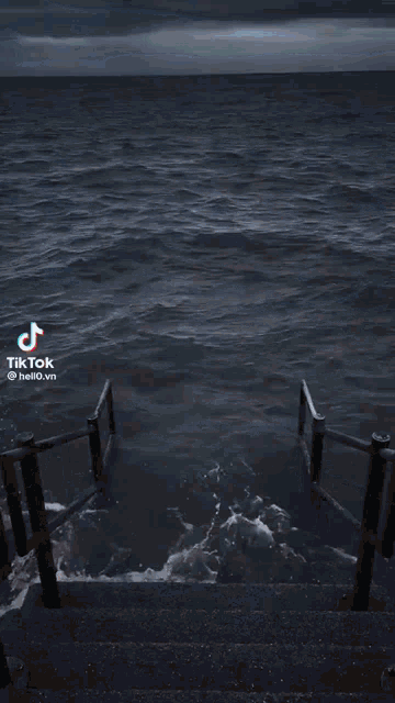 a horse and a cat are looking at the ocean .