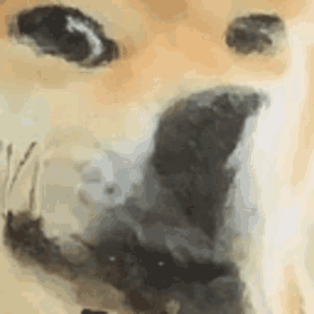 it is a painting of a dog 's face .