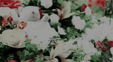a white teddy bear is surrounded by flowers and leaves .
