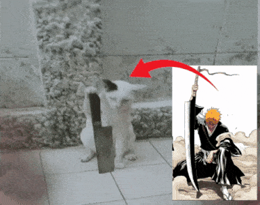 a cat holding a knife next to a picture of bleach